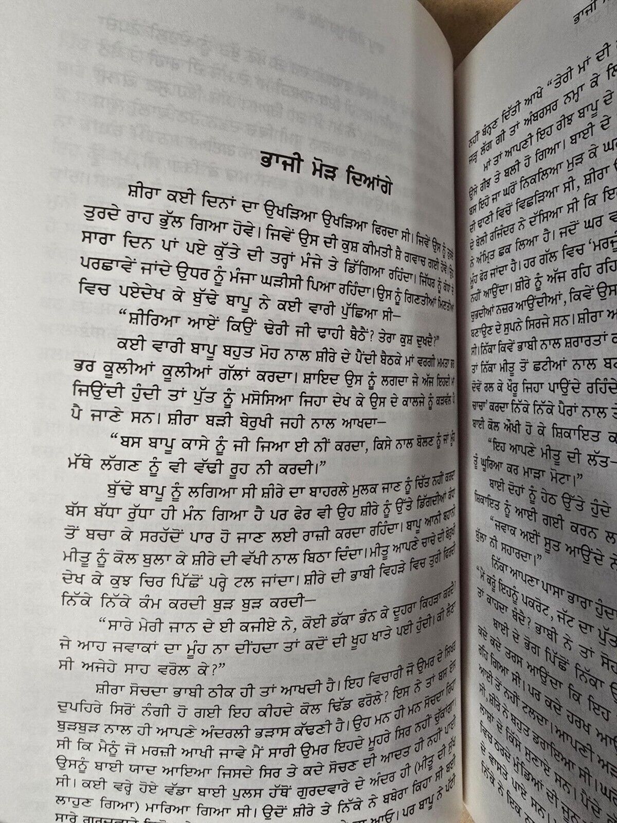 Kali Boli Haneri book Balwinder Kaur Brar Punjabi Literature Panjabi Stories B66