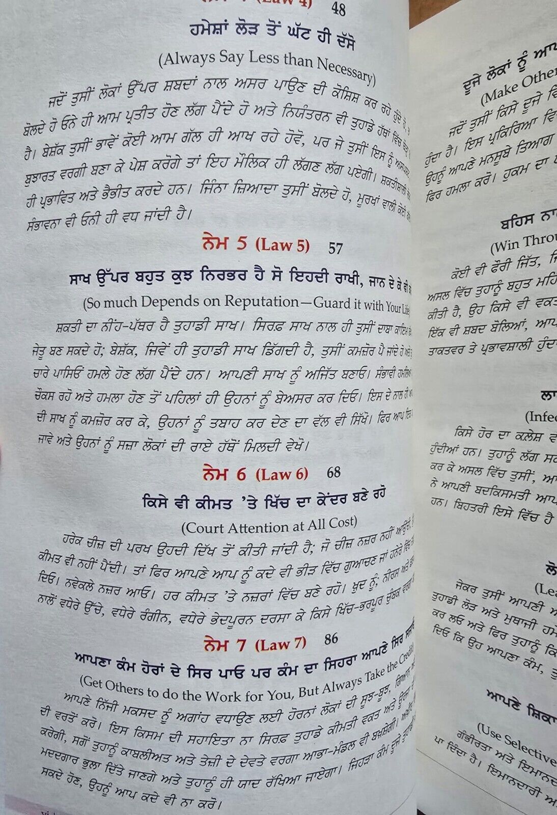 48 Laws of Power Punjabi Book Robert Greene Shakti de 48 Name Gurmukhi Panjabi A21