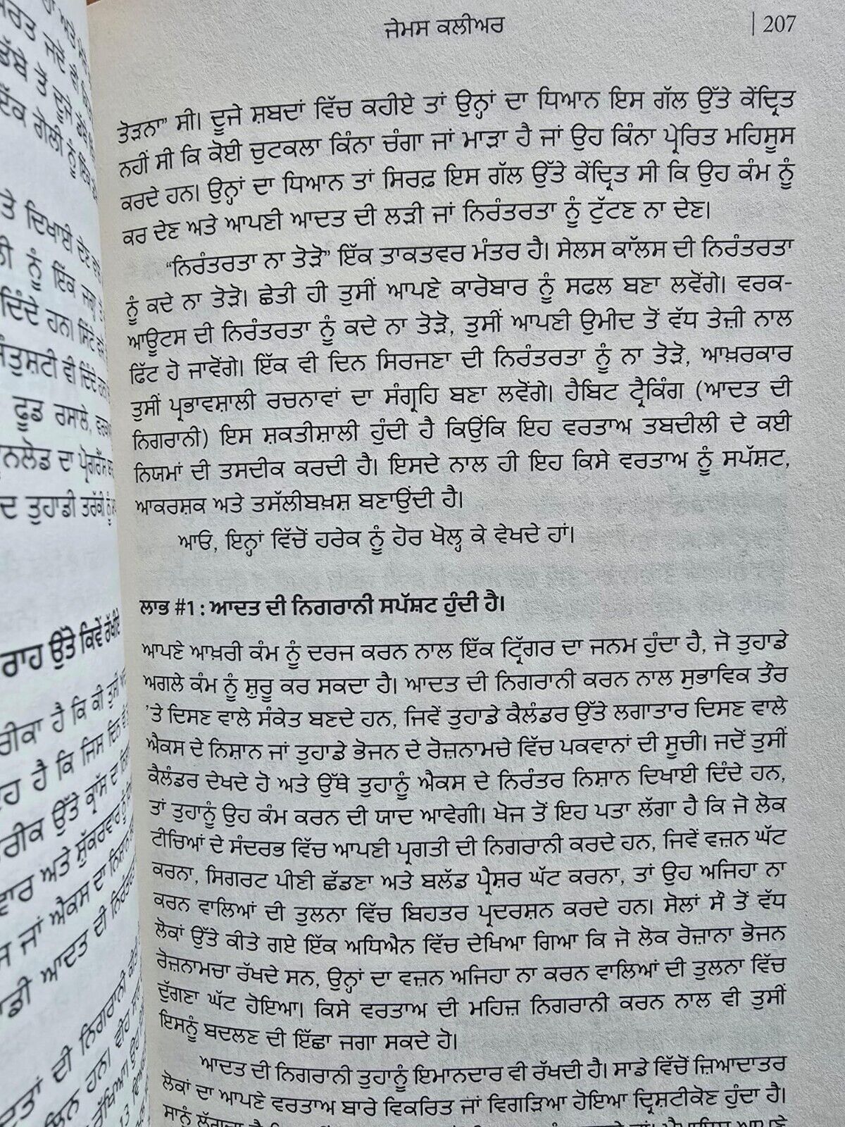Atomic Habits Self Help book by James Clear in Punjabi Gurmukhi New Panjabi A21