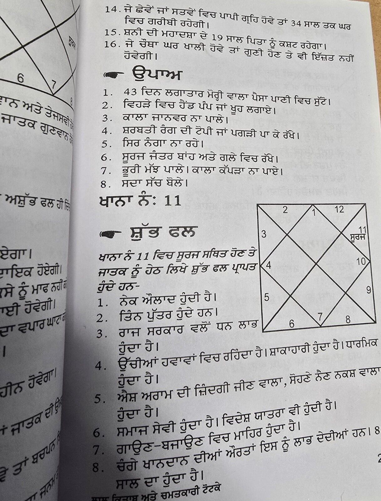 Lal Kitaab Red Book Chamatkari Totkay Jyotish Vidya  in punjabi gurmukhi New A21