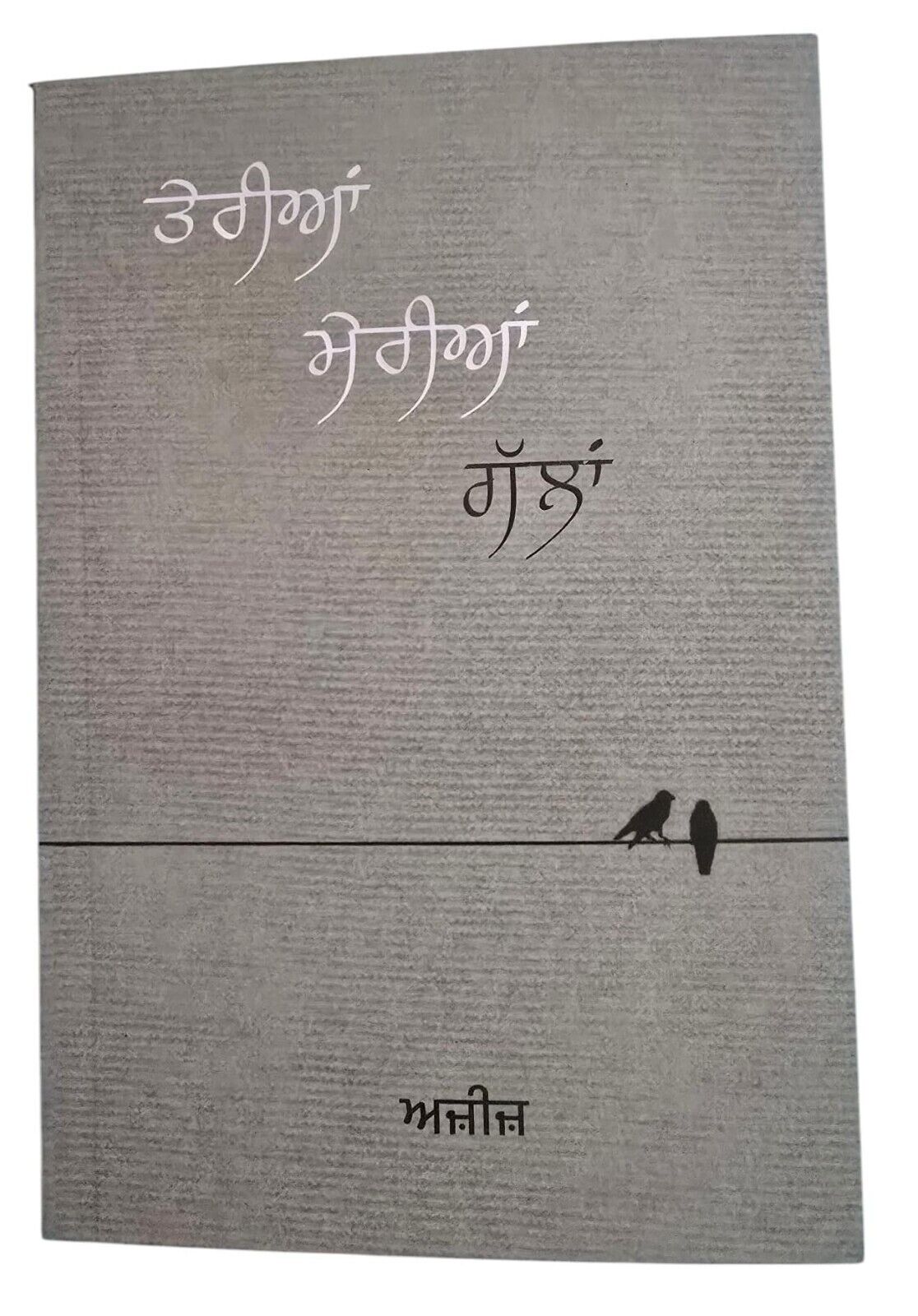 Teria Meria Galla Punjabi Poetry Book Aziz Gurmukhi Poems Famous Panjabi Poetry