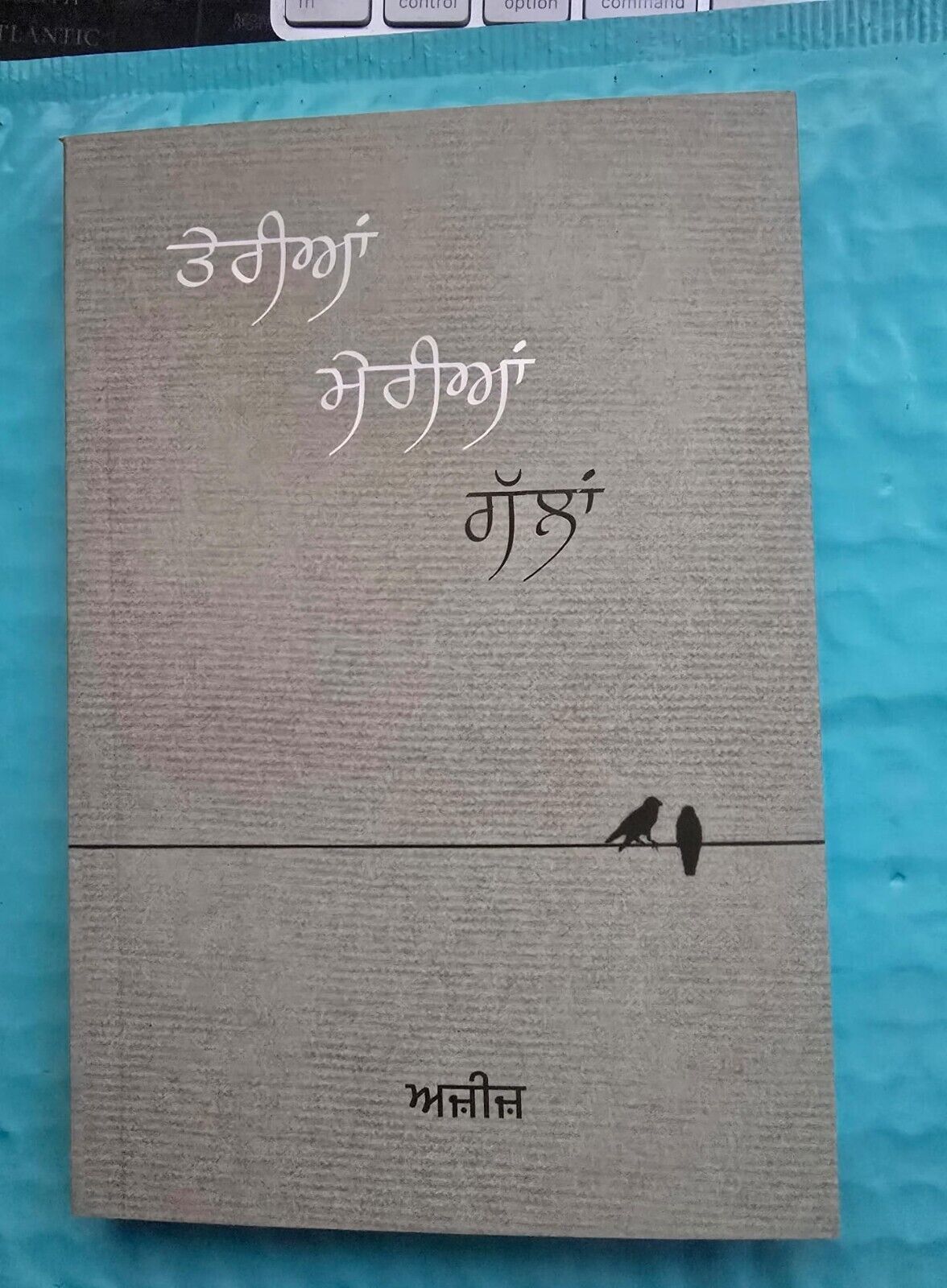 Teria Meria Galla Punjabi Poetry Book Aziz Gurmukhi Poems Famous Panjabi Poetry
