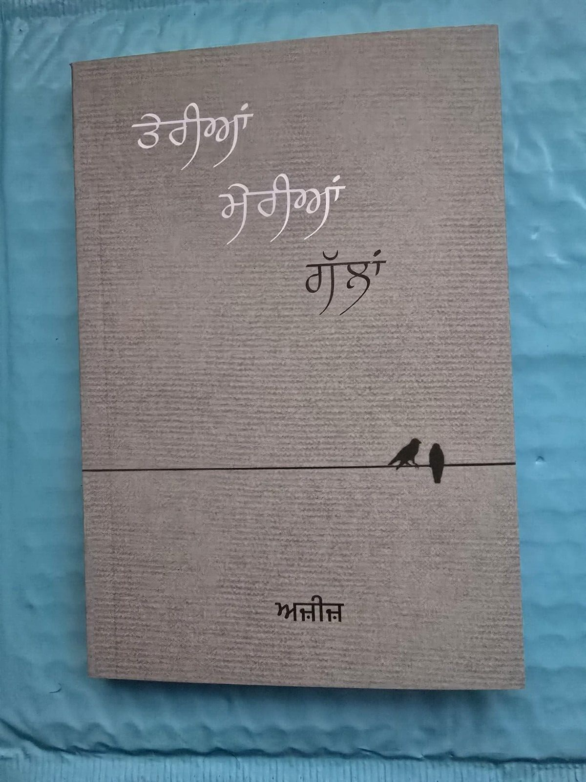 Teria Meria Galla Punjabi Poetry Book Aziz Gurmukhi Poems Famous Panjabi Poetry