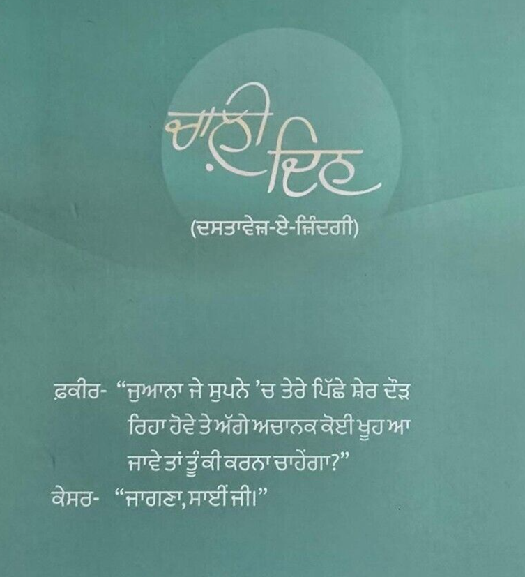 Chaali Din Novel by Gurpreet Singh Dhugga Indian Punjabi Gurmukhi Panjabi New B62