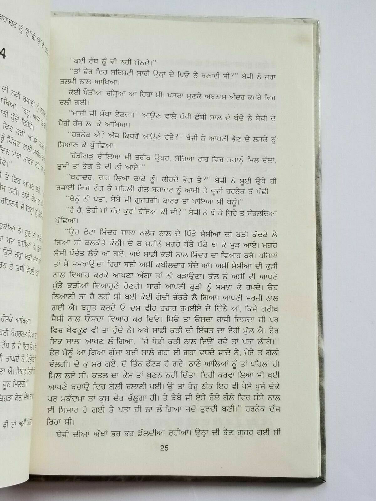 Duni Suhawa Bagh Punjabi fiction novel by Dalip Kaur Tiwana Panjabi book b5 new