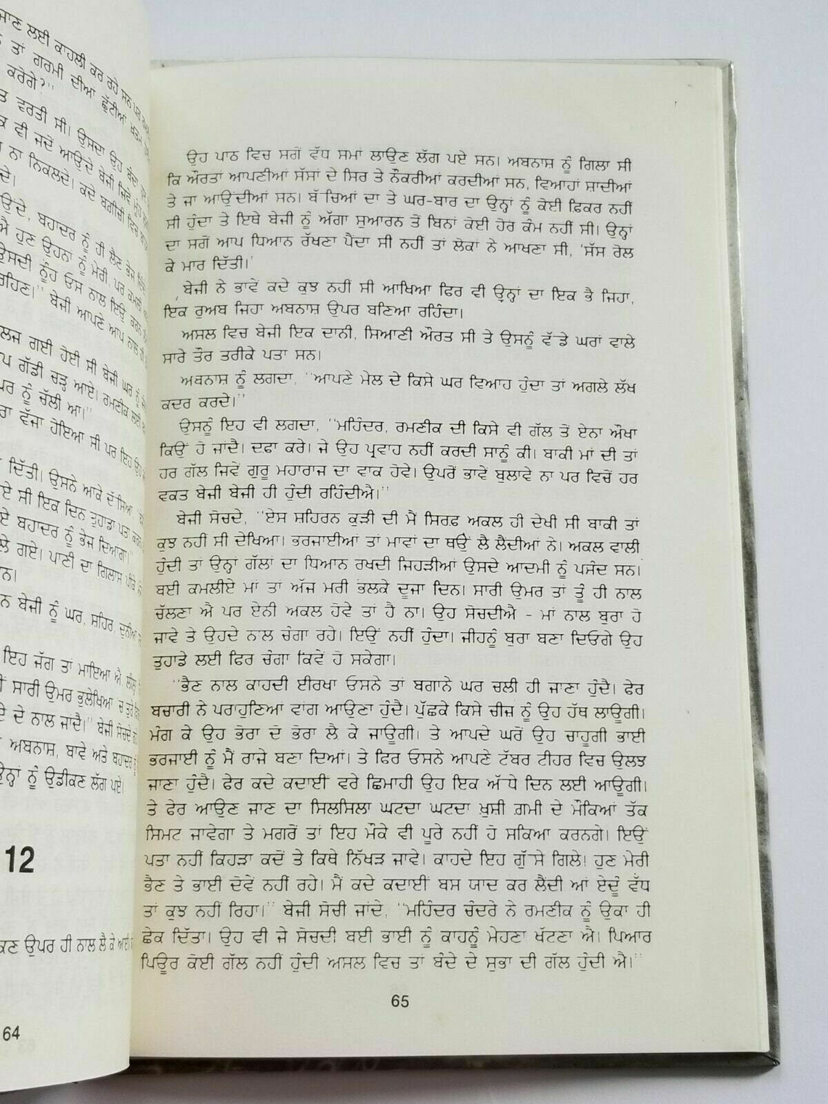 Duni Suhawa Bagh Punjabi fiction novel by Dalip Kaur Tiwana Panjabi book b5 new