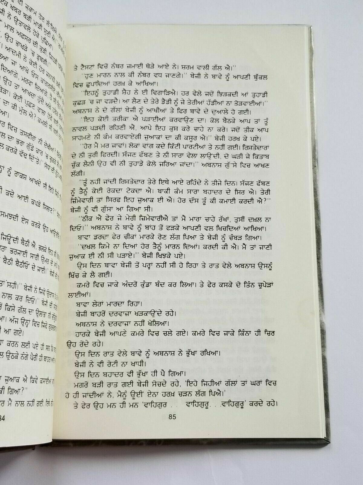 Duni Suhawa Bagh Punjabi fiction novel by Dalip Kaur Tiwana Panjabi book b5 new