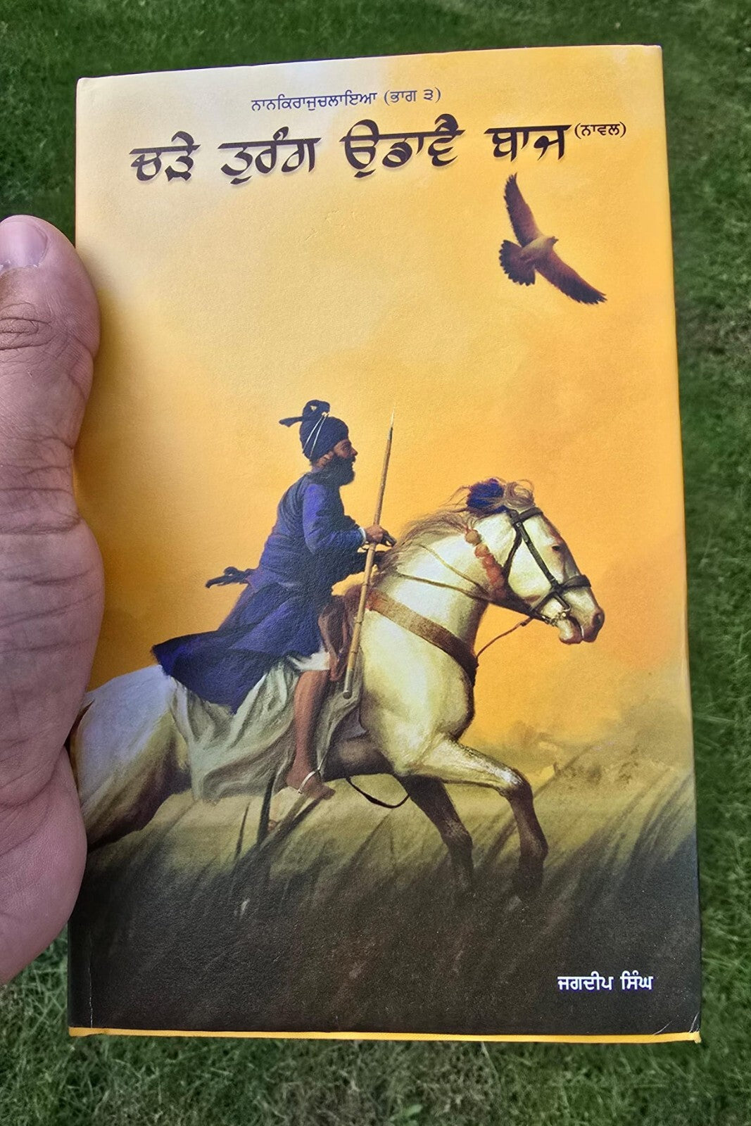 Charay Turang Udavay Baaz Novel Jagdeep Singh Punjabi book Panjabi Literature MH