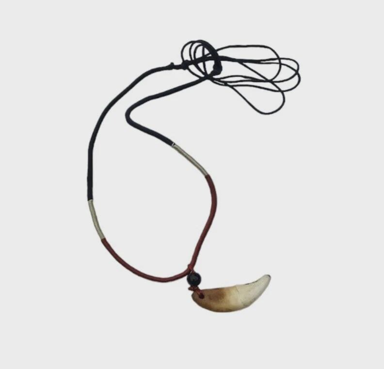 Authentic wolf tooth pendant tribal evil eye nazar protection witcher necklace P