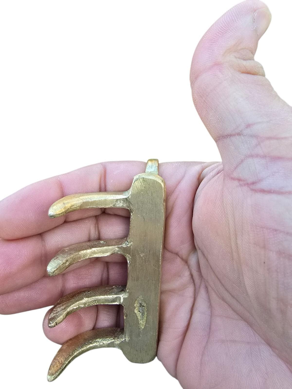 Khalsa Brass Sher Panja Bagh Nakh Punjabi Taksali Sikh Shastar Gatka Singh Lion