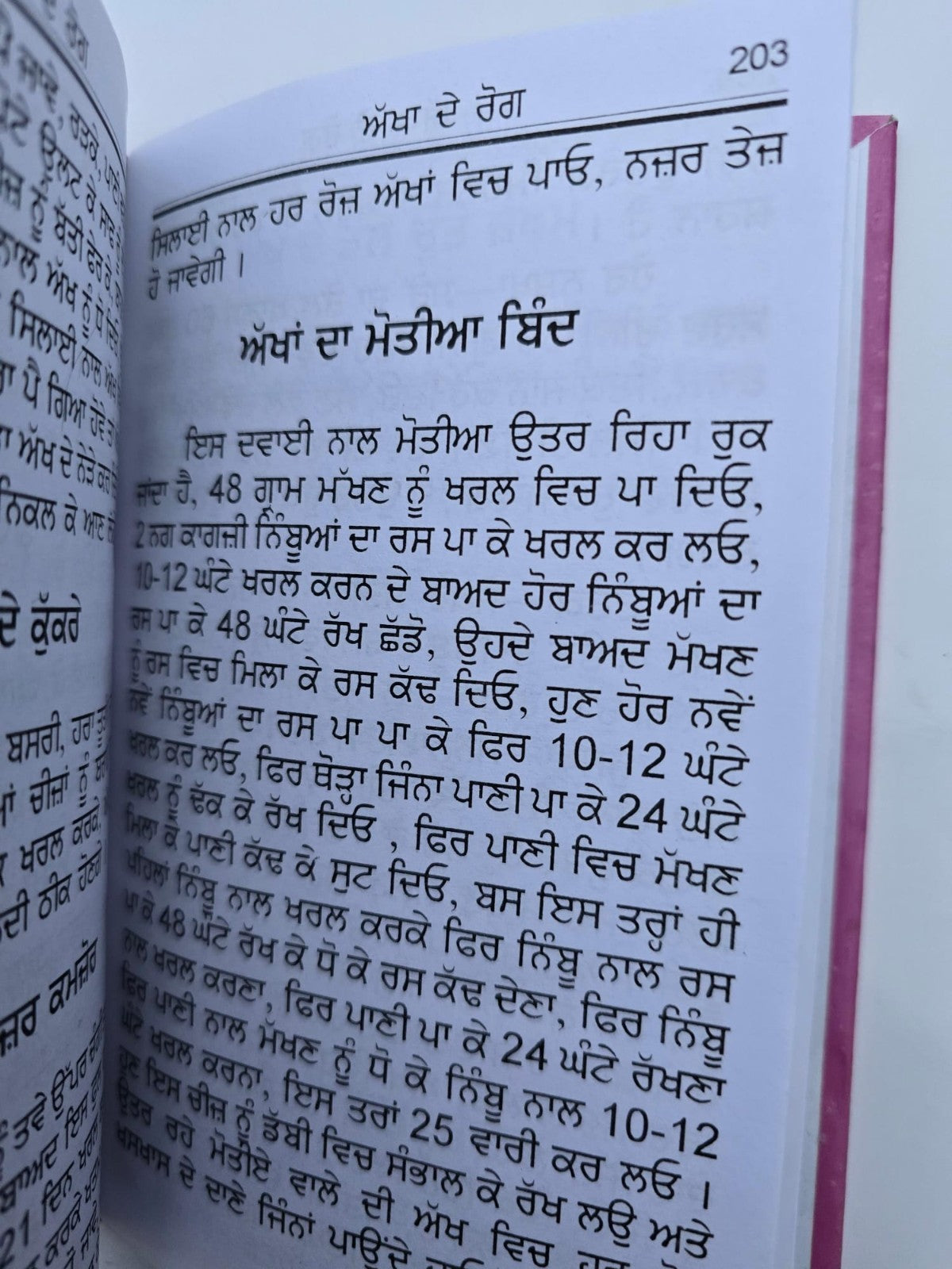 Gharelu Hakeemi Totke Dhanantar Vaid Desi Home Remedies Punjabi Gurmukhi Book M