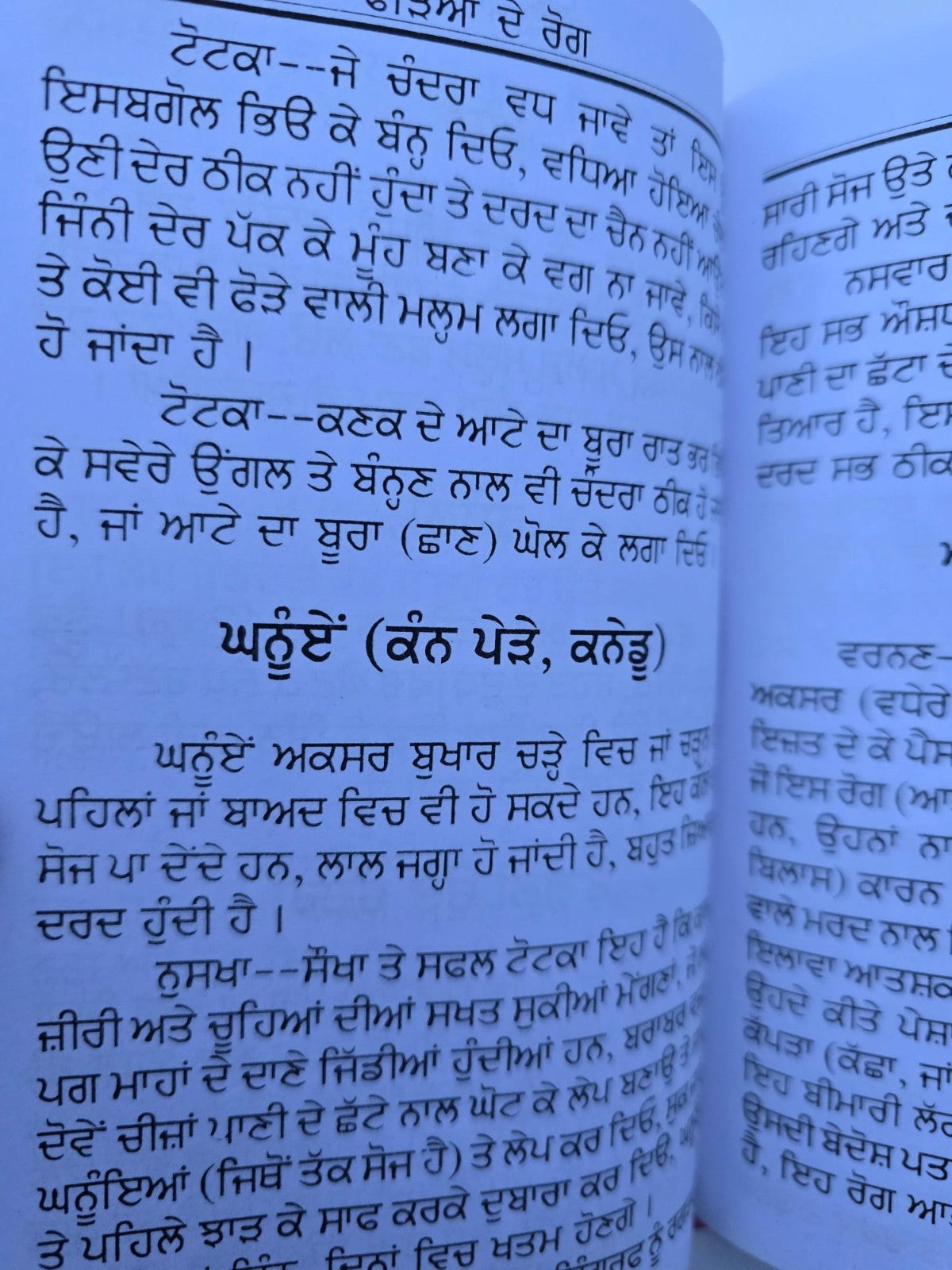 Gharelu Hakeemi Totke Dhanantar Vaid Desi Home Remedies Punjabi Gurmukhi Book M