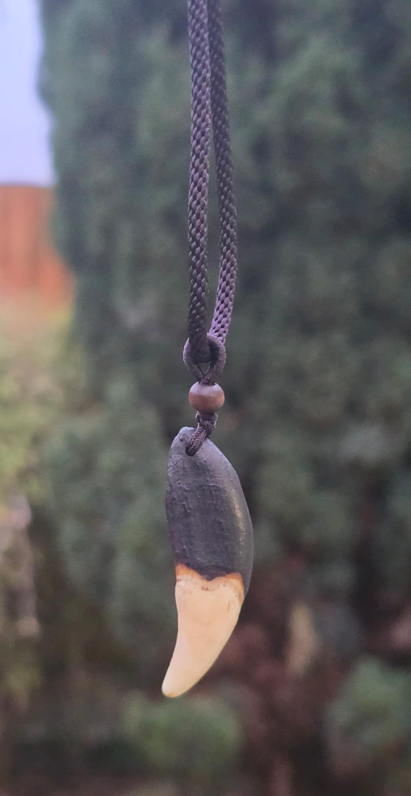Tibetan Tribal Wolf Tooth Style Necklace Nazar Protection Talisman Pendant U75