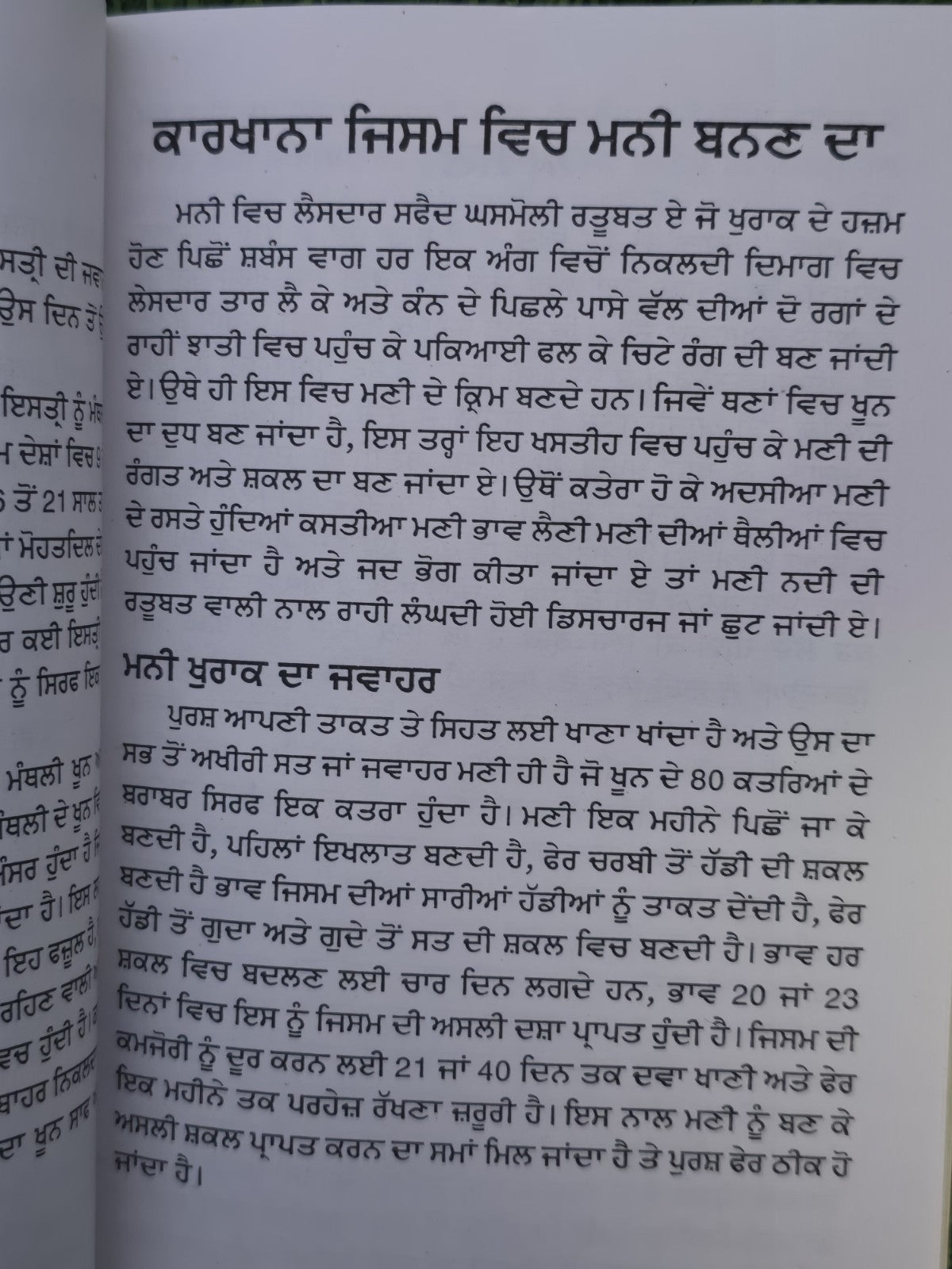Sambhog Kala Punjabi Gurmukhi Book by Koka Pandit Authentic Old Kok Shashtar Sex