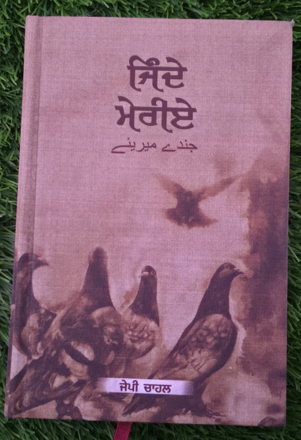 Jinday Meriay Punjabi Gurmukhi Poetry Book J.P. Chahal Poet Panjabi Poems New MD