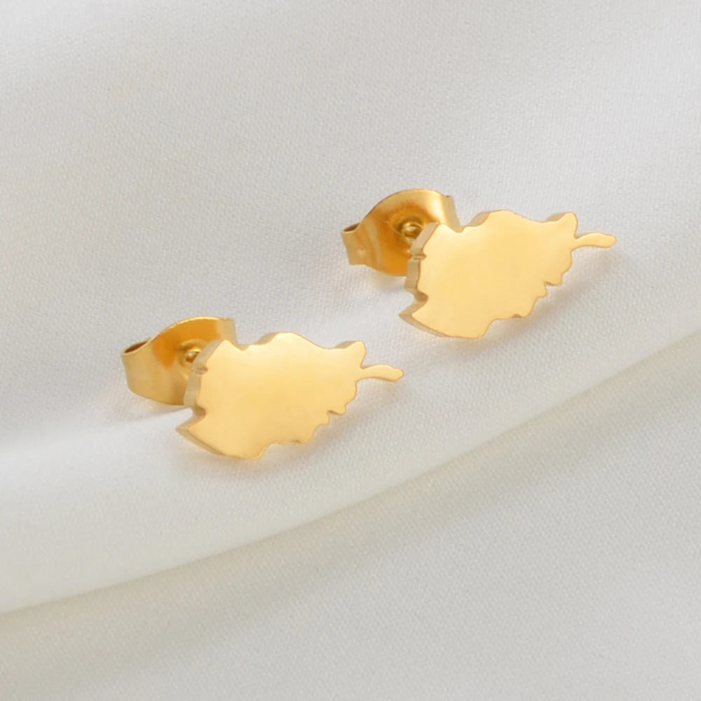 Venezuela,Afghanistan,Lebanon Cedar,Madagascar,India Punjab,Trinidad and Tobago Stud Earrings Stainless Steel Jewelry #505621