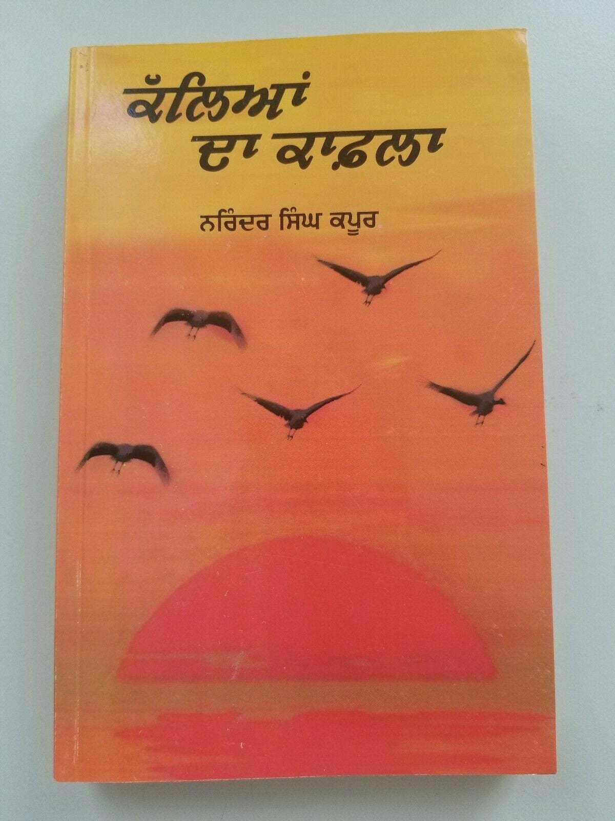 Kalya da kafla narinder singh kapoor best punjabi reading literature book b11