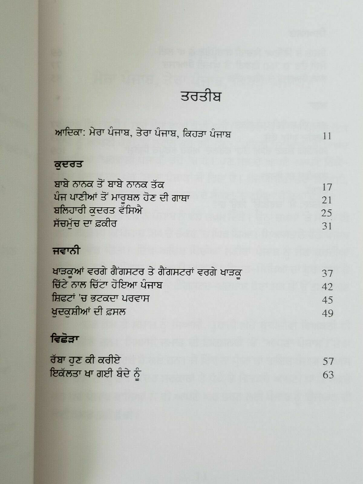 Kehra punjab yadwinder karfew indian punjabi reading literature panjab book b40