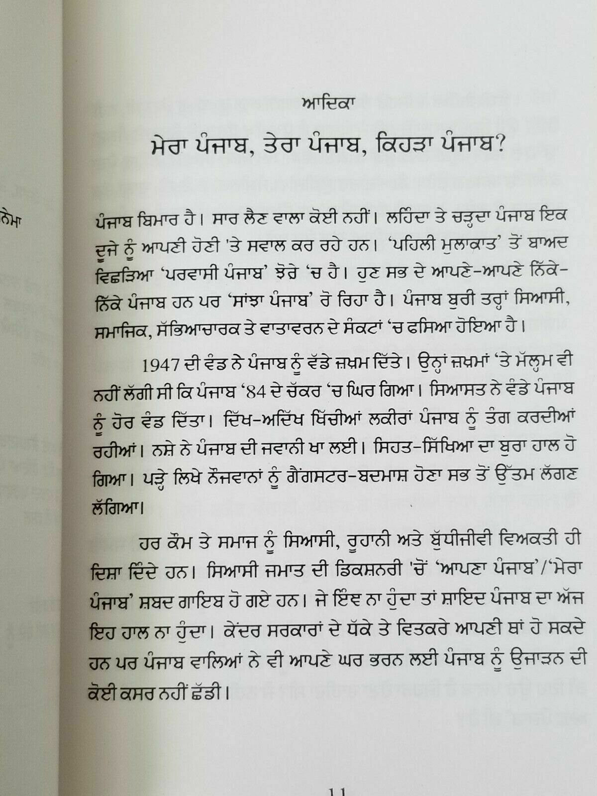 Kehra punjab yadwinder karfew indian punjabi reading literature panjab book b40