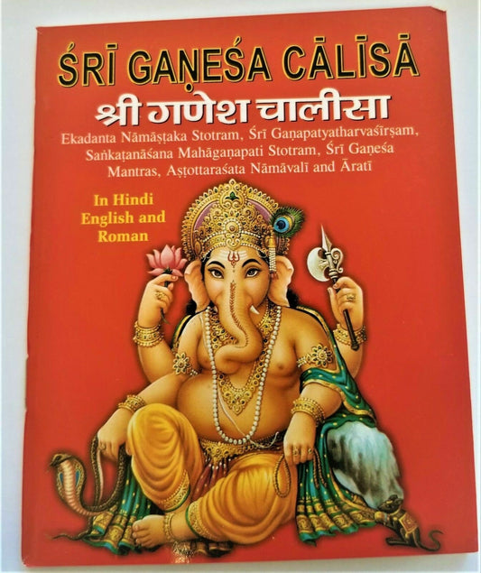 Sri ganesh chalisa evil eye protection shield good luck book hindi english a14