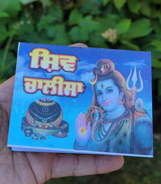 Hindu Shiv Chalisa Evil Eye Protection Shield Good Luck Pocket Book Punjabi HH